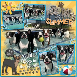 Dog Days of Summer