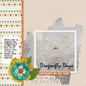 Dragonfly Days