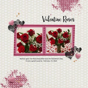 Valentine Roses