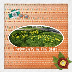 moments in the sun
