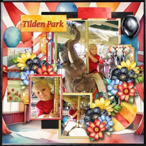 Tilden Park