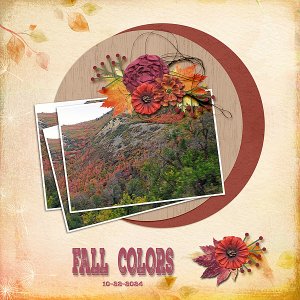 Fall Leaves