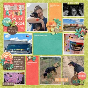 Week 35