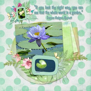 Water Lily Garden