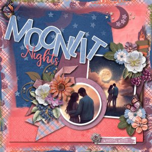 Moonlit Nights