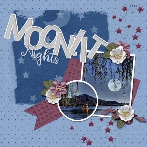 Moonlit Nights