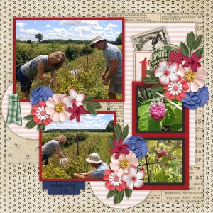 Berry Pickin-GingerBread Ladies MM