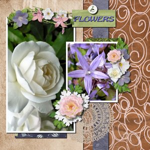 TC2-Sept-Flowers
