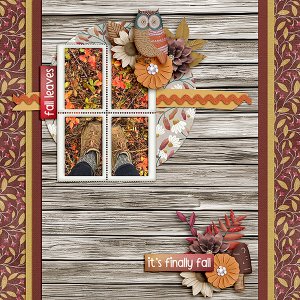Fall-Leaves