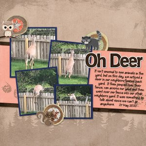 Oh Deer