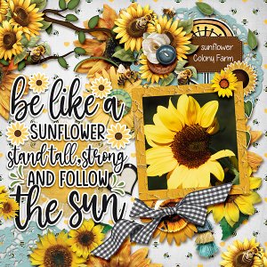 Follow The Sun
