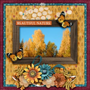 Beautiful-nature5