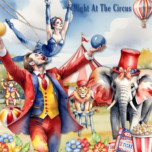 Night At The Circus