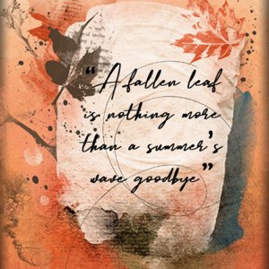 A Fallen Leaf