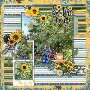 Sunflower