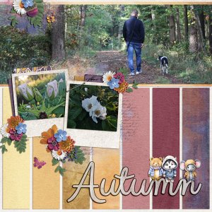 forever fall