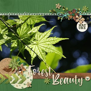 Forest beauty