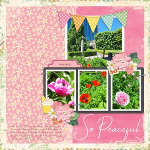 Sept24 DailyDownload