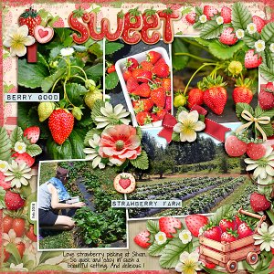 Strawberry Picking