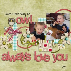 Owl Always Love You
