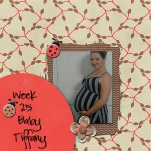 Kandice at 25 weeks ~ Mini Kit challange