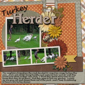 Turkey Herder
