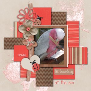 Pretty Birdie