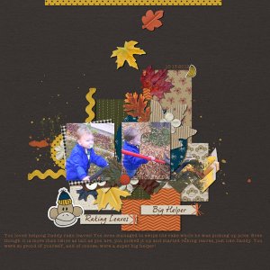 Raking Leaves