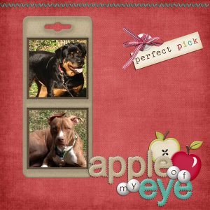 Apple Of My Eye