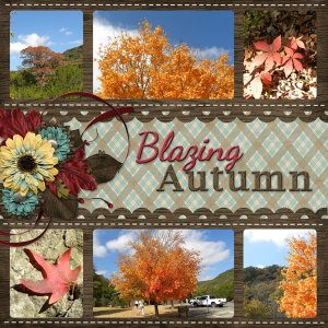Blazing Autumn