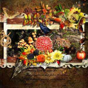 Fall Into Autumn