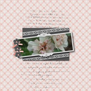 You and me .. flower