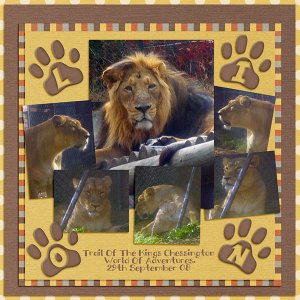 Lions