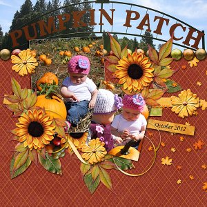 Pumpkin Patch
