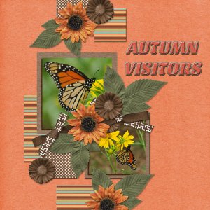 Autumn visitors