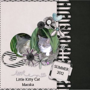 kitty_cat