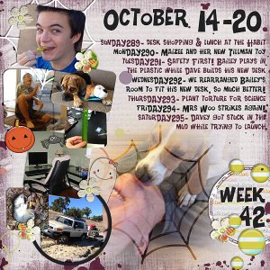 2012 - Week 42