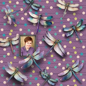 Dragonfly Dreams