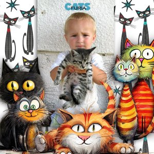 Crazy Cat Lady