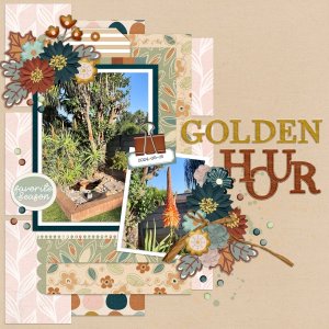 2024-05-16_GoldenHour