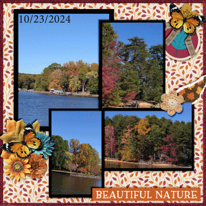 Lake Colors