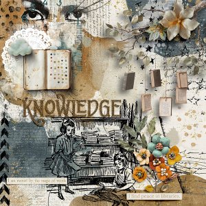 Knowledge