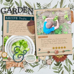 Pesto Recipe