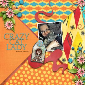 Crazy Cat Lady