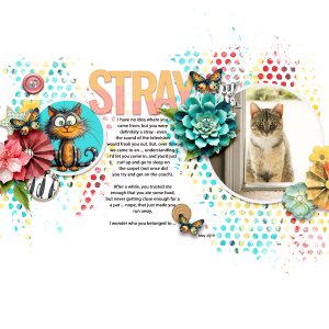 Stray