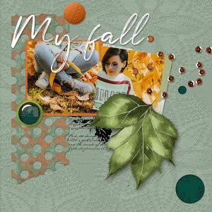 My fall