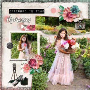 memories-in-focus-alexis-de