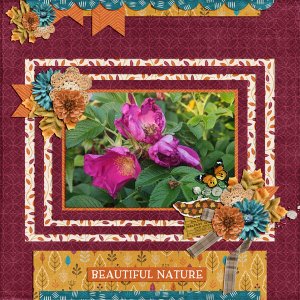 september flowers