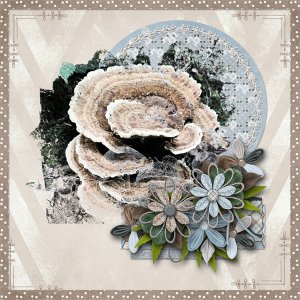 Fungi