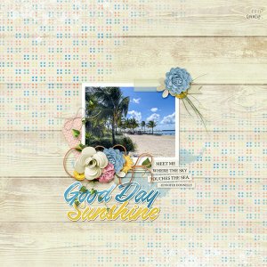 Good Day Sunshine
